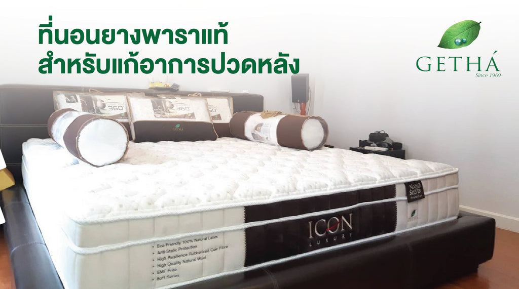 ที่นอนยางพารา Getha ลดปวดหลัง | รับประกันสุขภาพดียาวนานกว่า 10 ปี